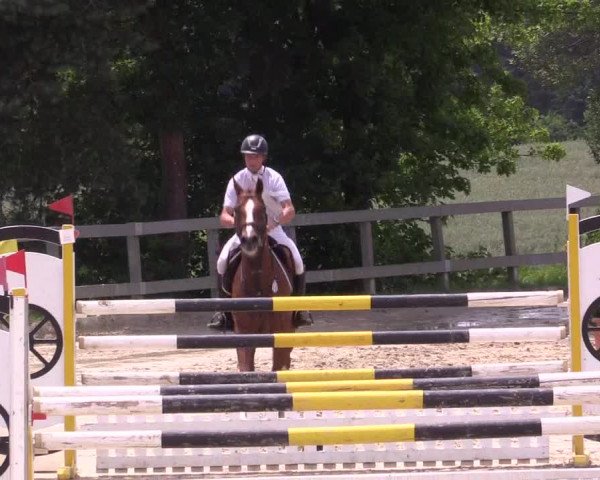 Reitturnier Kalenborn Hegehof 2015