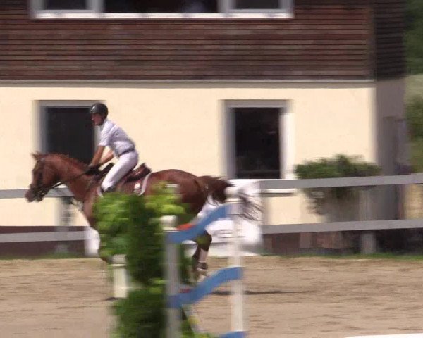 Reitturnier Kalenborn Hegehof 2015