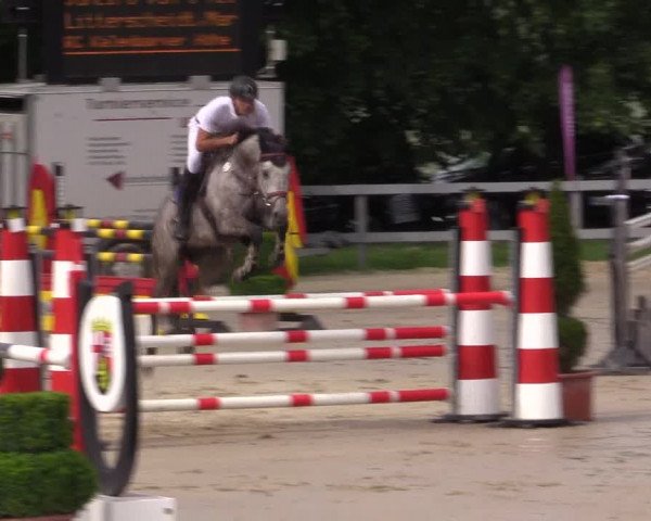 Reitturnier Kalenborn Hegehof 2015