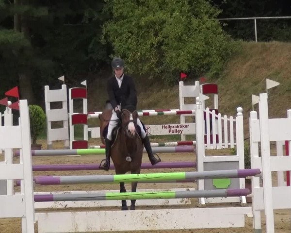 Reitturnier Viersen-Dülken 2015