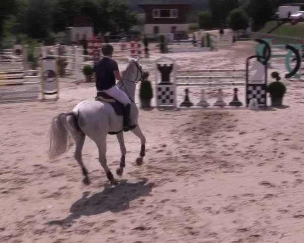 Reitturnier Kalenborn Hegehof 2015
