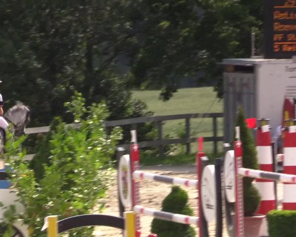 Reitturnier Kalenborn Hegehof 2015