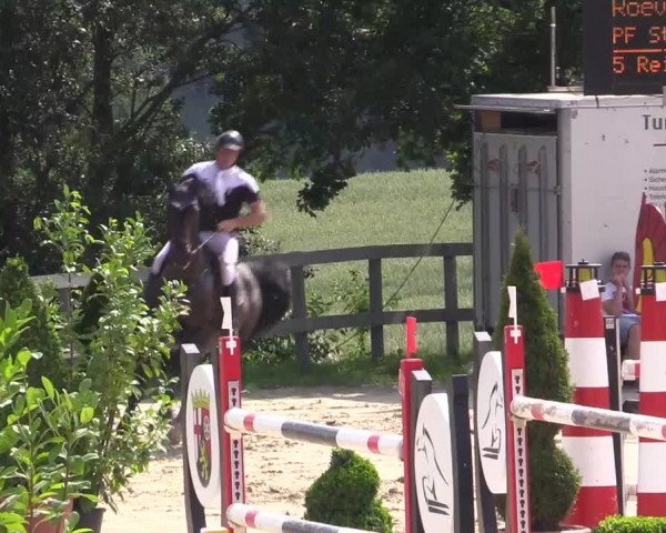 Reitturnier Kalenborn Hegehof 2015
