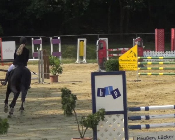 Reitturnier Viersen-Dülken 2015