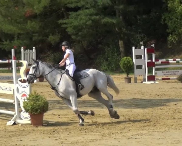 Reitturnier Viersen-Dülken 2015
