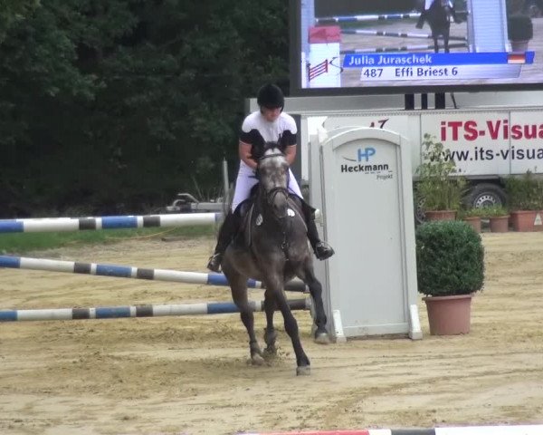 Reitturnier Viersen-Dülken 2015