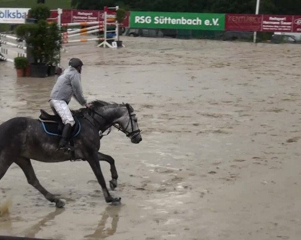 Reitturnier Lindlar-Süttenbach 2015