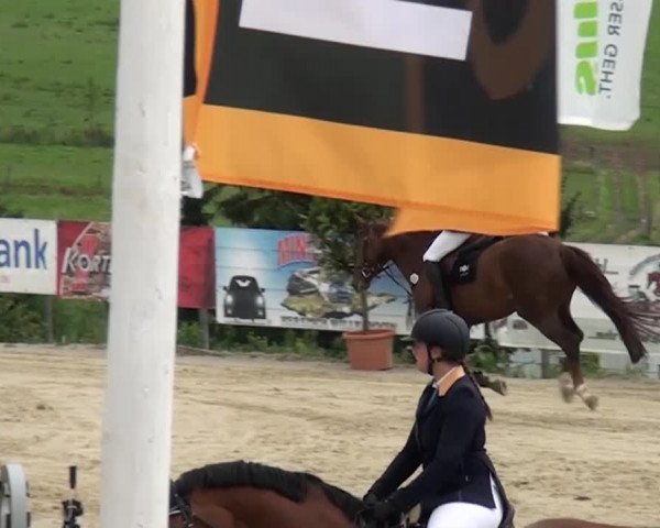 Reitturnier Lindlar-Süttenbach 2015
