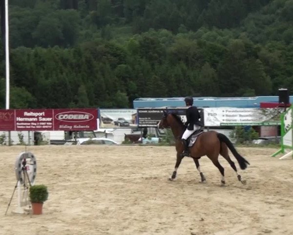 Reitturnier Lindlar-Süttenbach 2015