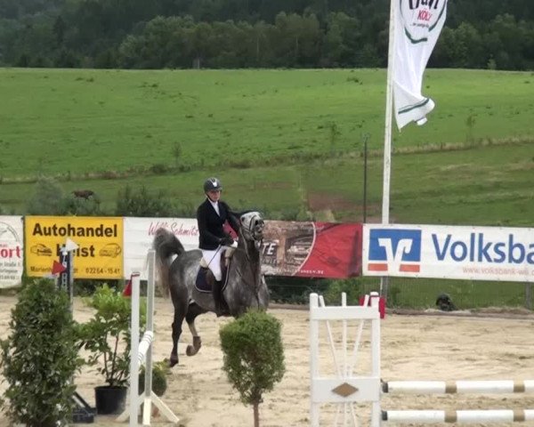 Reitturnier Lindlar-Süttenbach 2015