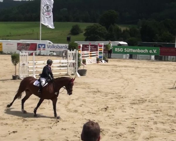 Reitturnier Lindlar-Süttenbach 2015