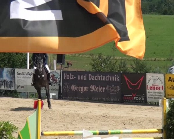 Reitturnier Lindlar-Süttenbach 2015
