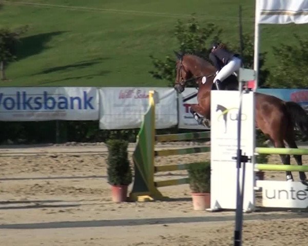 Reitturnier Lindlar-Süttenbach 2015