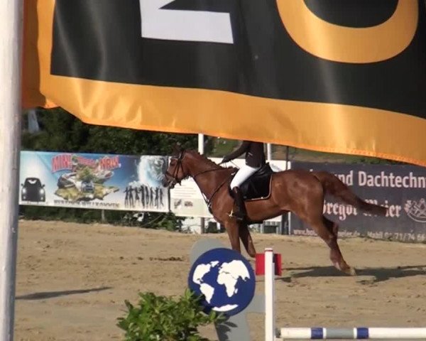 Reitturnier Lindlar-Süttenbach 2015