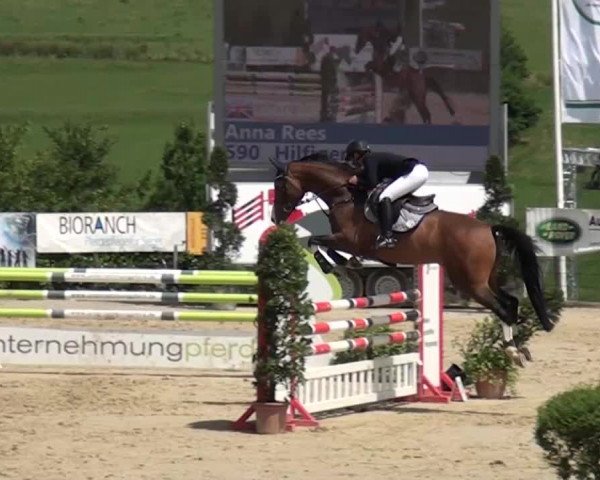 Reitturnier Lindlar-Süttenbach 2015