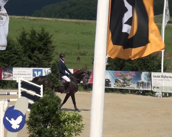 Reitturnier Lindlar-Süttenbach 2015