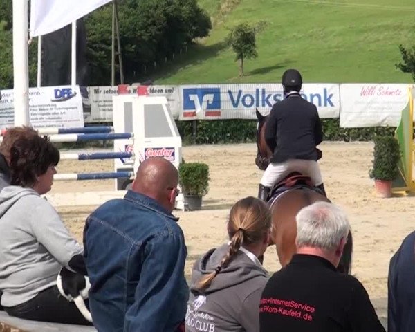 Reitturnier Lindlar-Süttenbach 2015