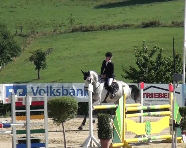 Reitturnier Lindlar-Süttenbach 2015