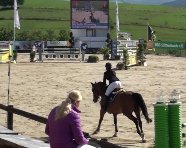 Reitturnier Lindlar-Süttenbach 2015