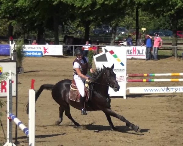 Reitturnier Grefrath - Reitanlage Heitzerend 2015