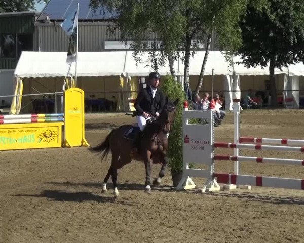 Reitturnier Grefrath - Reitanlage Heitzerend 2015