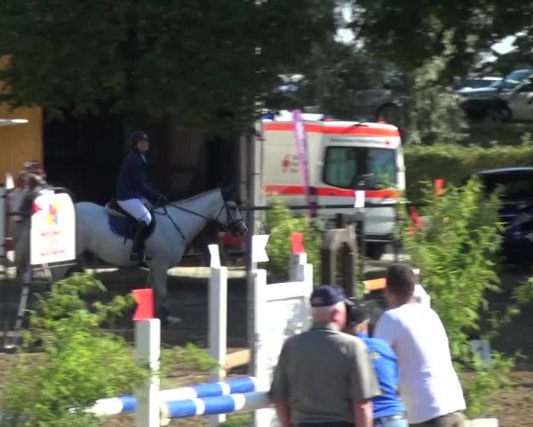 Reitturnier Grefrath - Reitanlage Heitzerend 2015