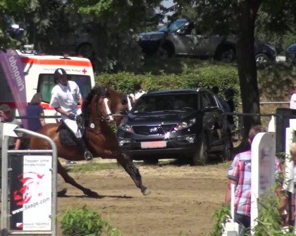 Reitturnier Grefrath - Reitanlage Heitzerend 2015