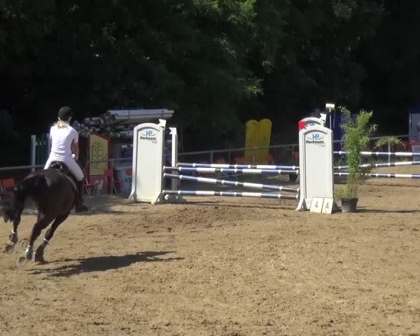 Reitturnier Grefrath - Reitanlage Heitzerend 2015