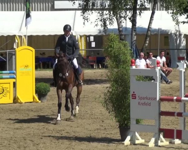 Reitturnier Grefrath - Reitanlage Heitzerend 2015