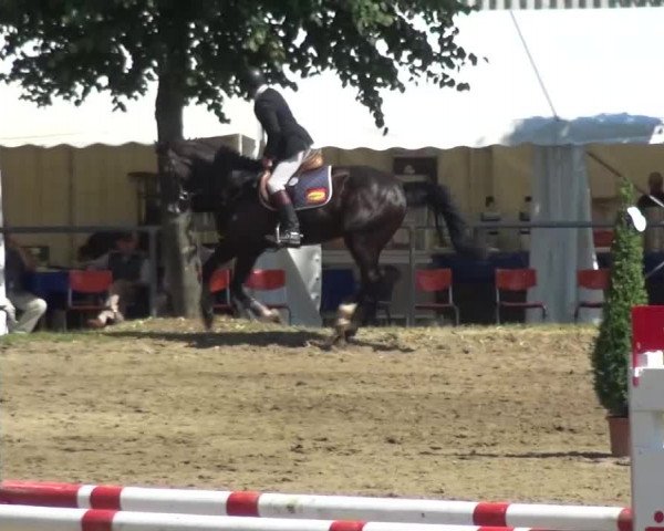 Reitturnier Grefrath - Reitanlage Heitzerend 2015