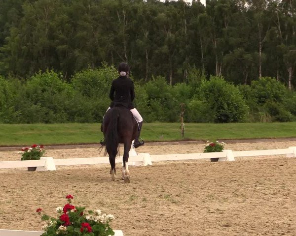 Reitturnier Münster-Roxel 2015