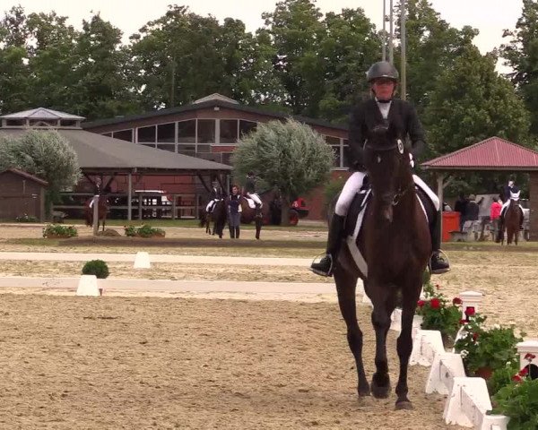 Reitturnier Münster-Roxel 2015