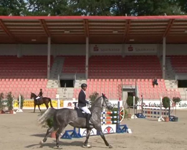 Reitturnier Redefin 2015