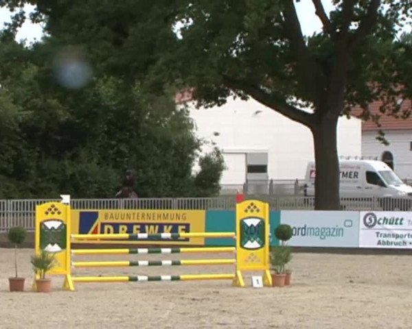 Reitturnier Redefin 2015