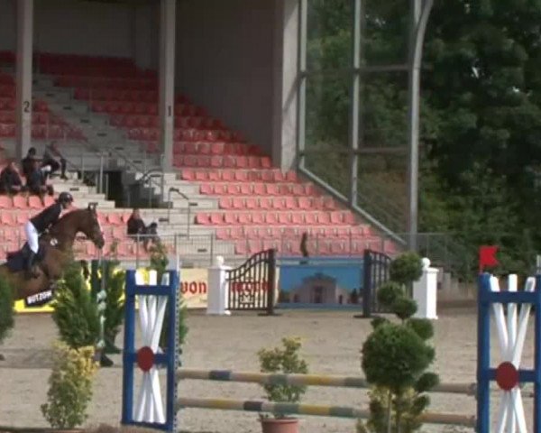 Reitturnier Redefin 2015