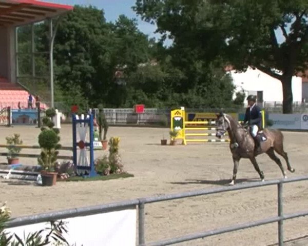 Reitturnier Redefin 2015