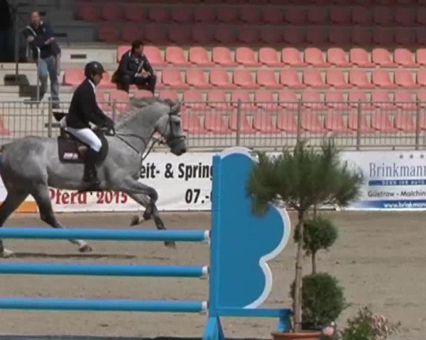 Reitturnier Redefin 2015