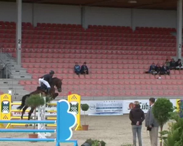 Reitturnier Redefin 2015