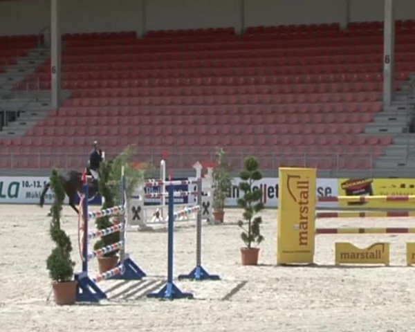 Reitturnier Redefin 2015