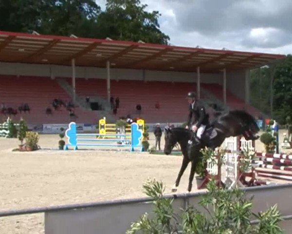 Reitturnier Redefin 2015