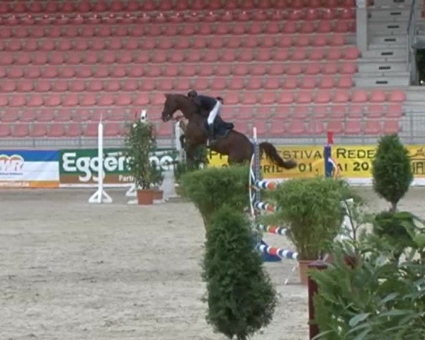 Reitturnier Redefin 2015