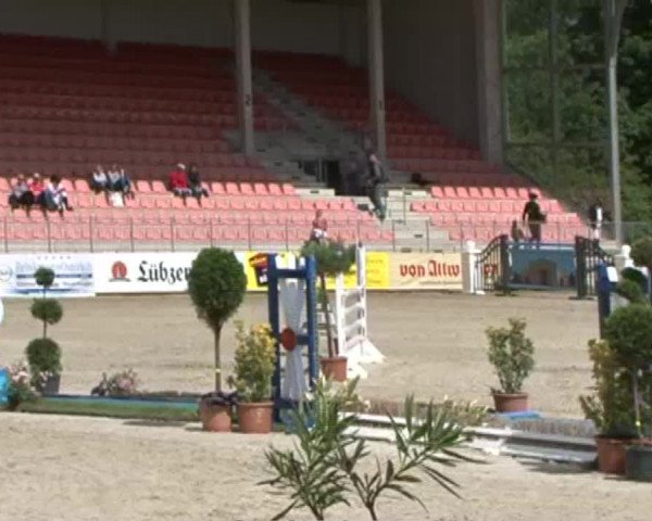 Reitturnier Redefin 2015