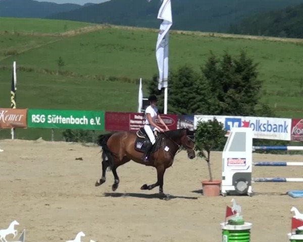 Reitturnier Lindlar-Süttenbach 2015