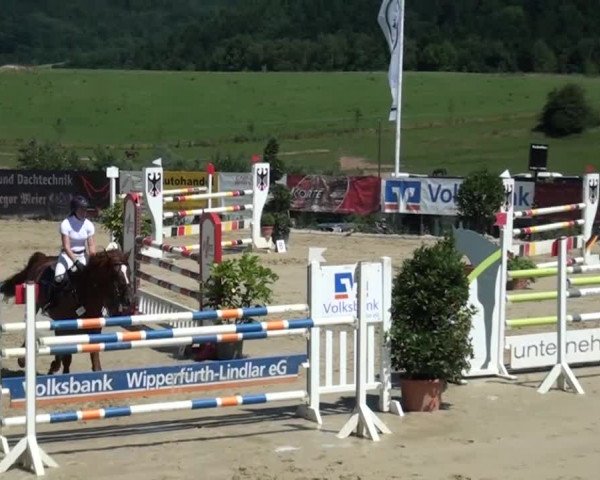 Reitturnier Lindlar-Süttenbach 2015