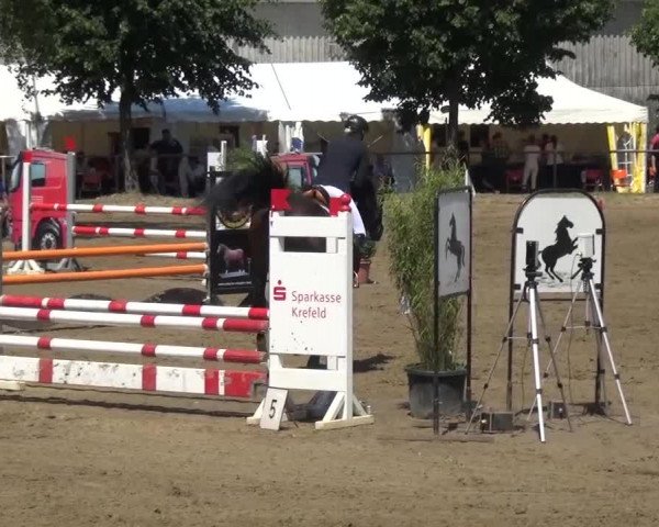 Reitturnier Grefrath - Reitanlage Heitzerend 2015