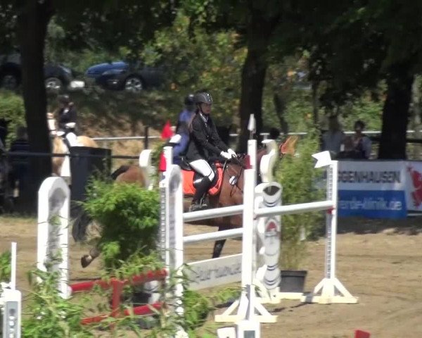 Reitturnier Grefrath - Reitanlage Heitzerend 2015