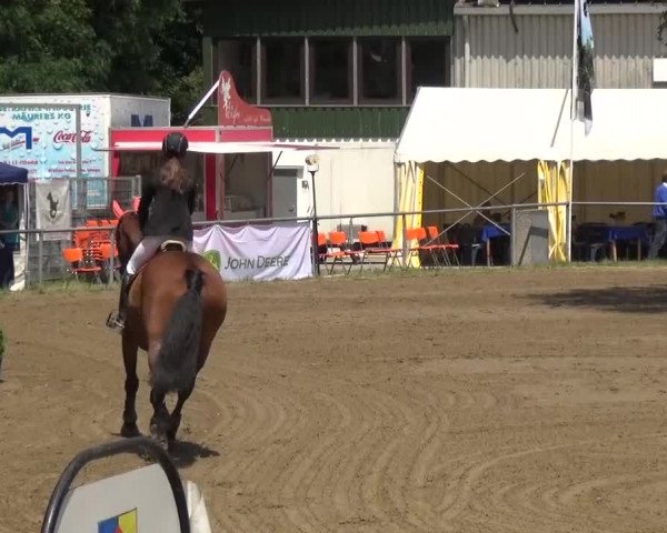 Reitturnier Grefrath - Reitanlage Heitzerend 2015