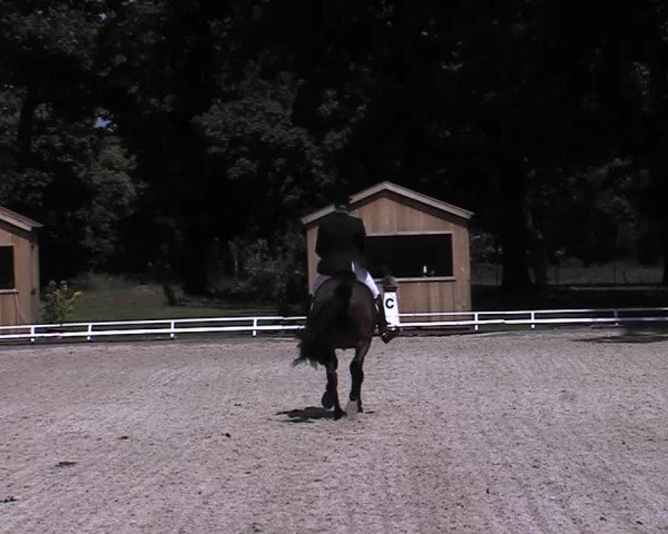 Reitturnier Redefin 2015
