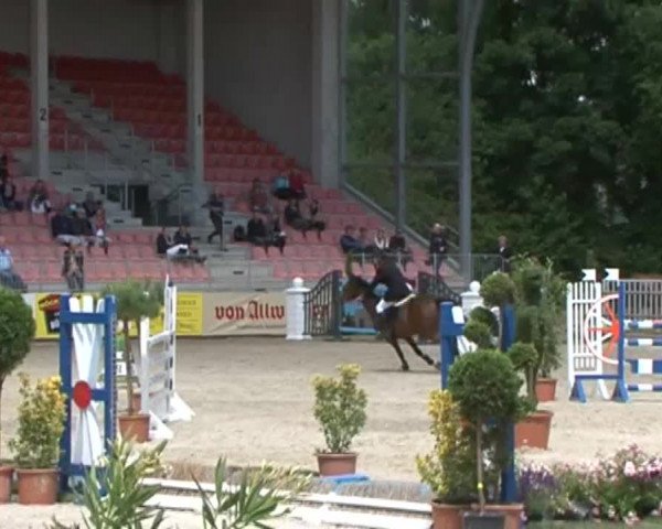 Reitturnier Redefin 2015