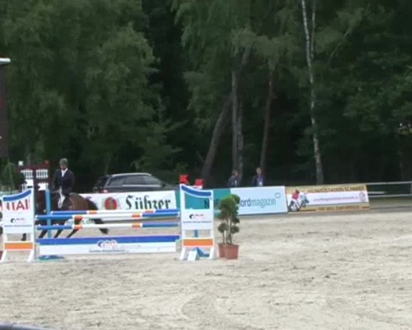 Reitturnier Redefin 2015